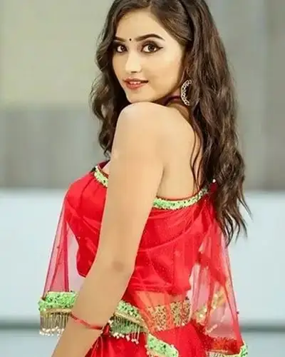 Call Girls Service Valod